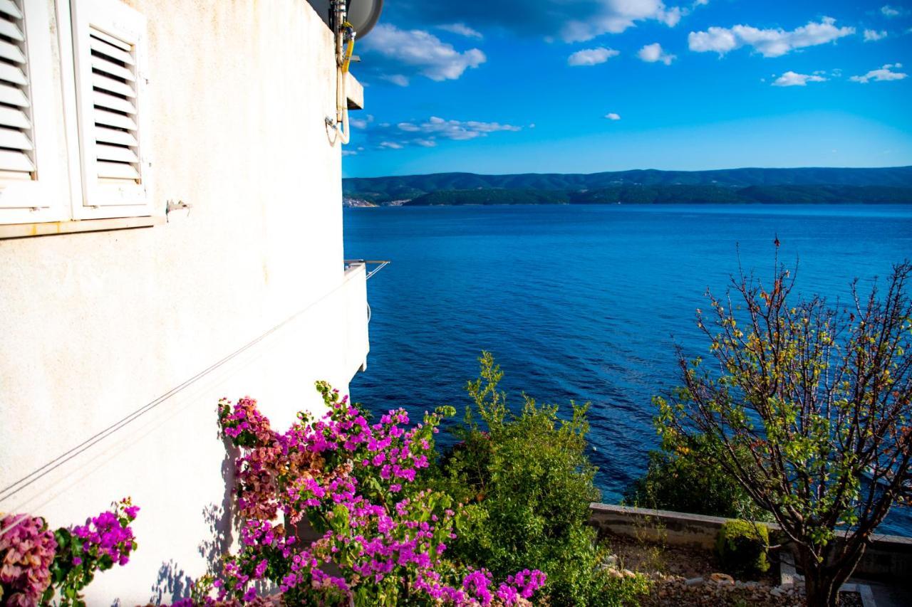 Apartments Lile By The Sea, Celina Zavode Εξωτερικό φωτογραφία